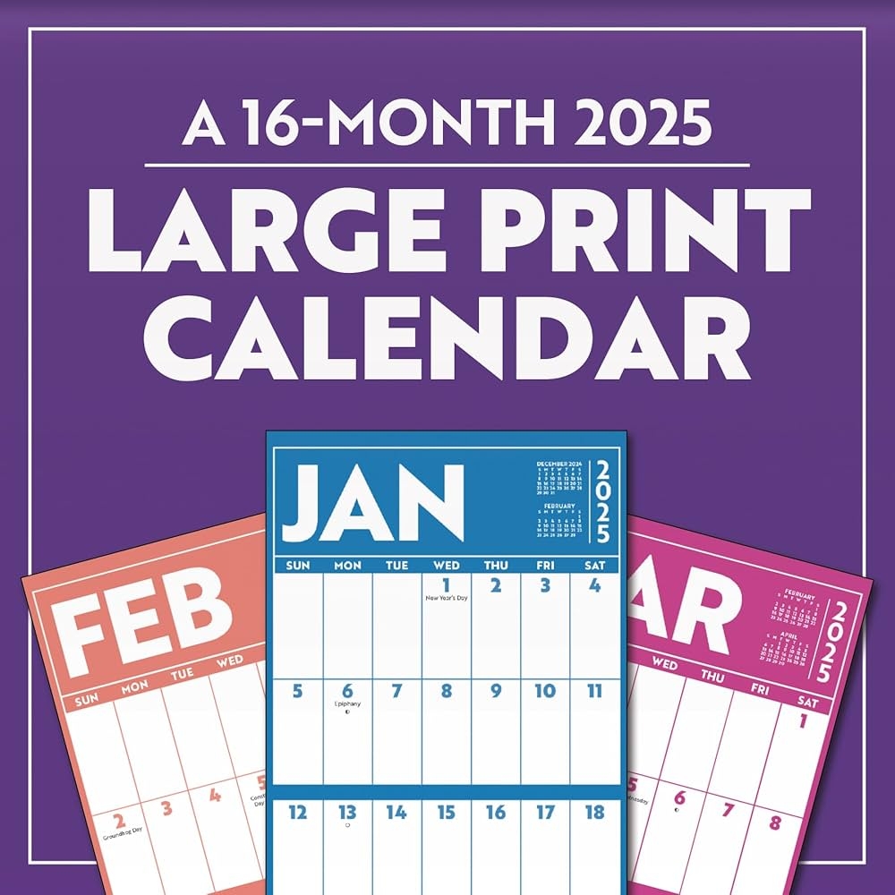 Amazon 2025 Large Print Wall Calendar 9781438898773 Trends International Books