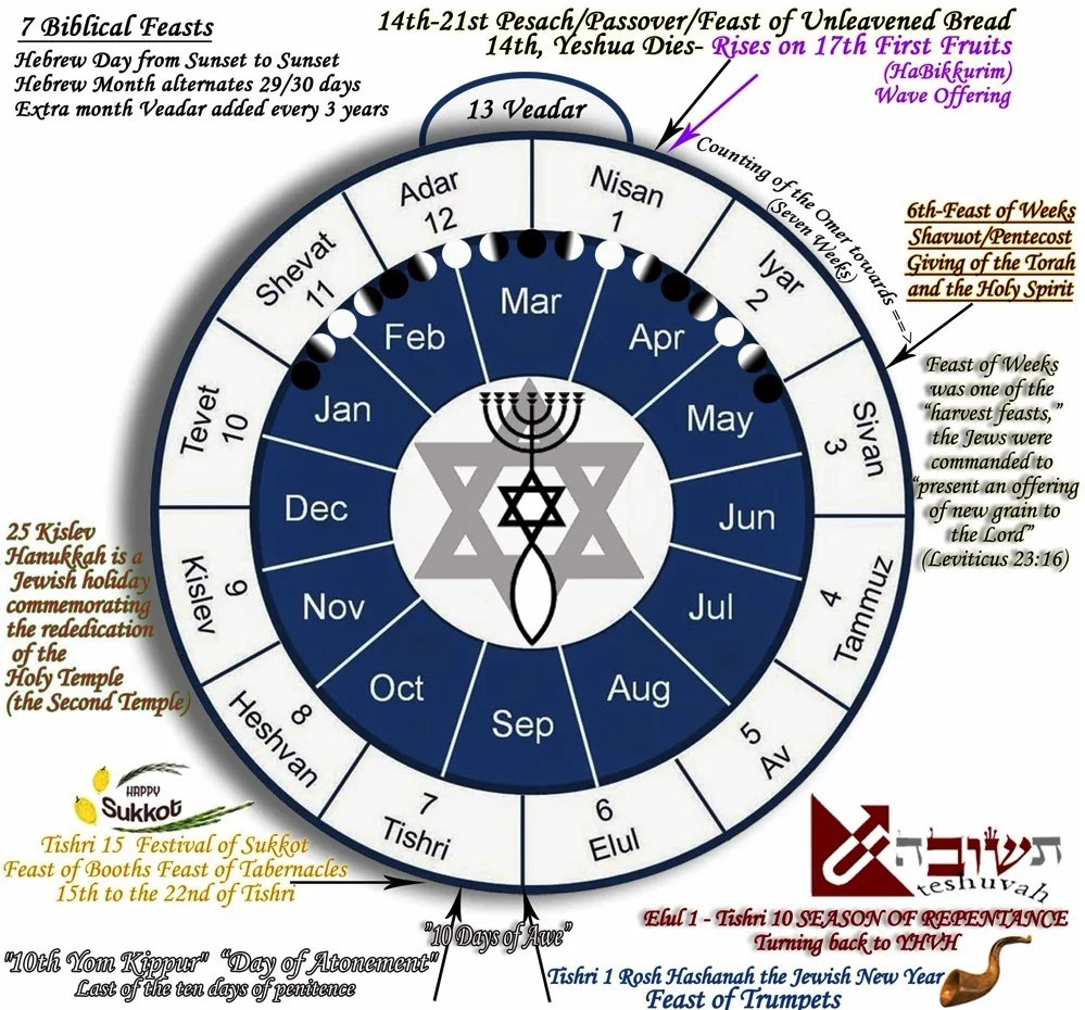 2025 Calendar Netzarim Antoecie 2025 Calendar Netzarim Antoecie