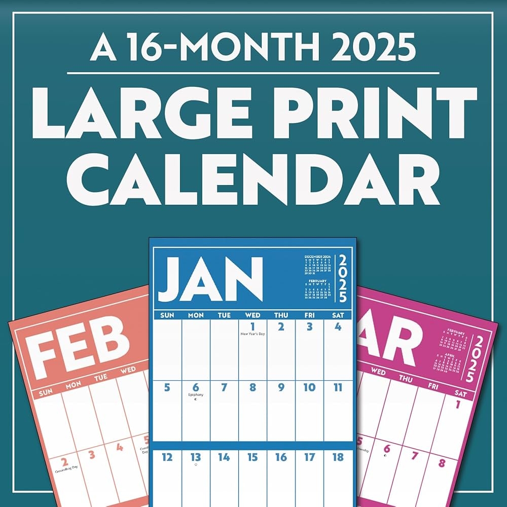 2025 Large Print Mini Wall Calendar 9781438898278 Trends International Books Amazon