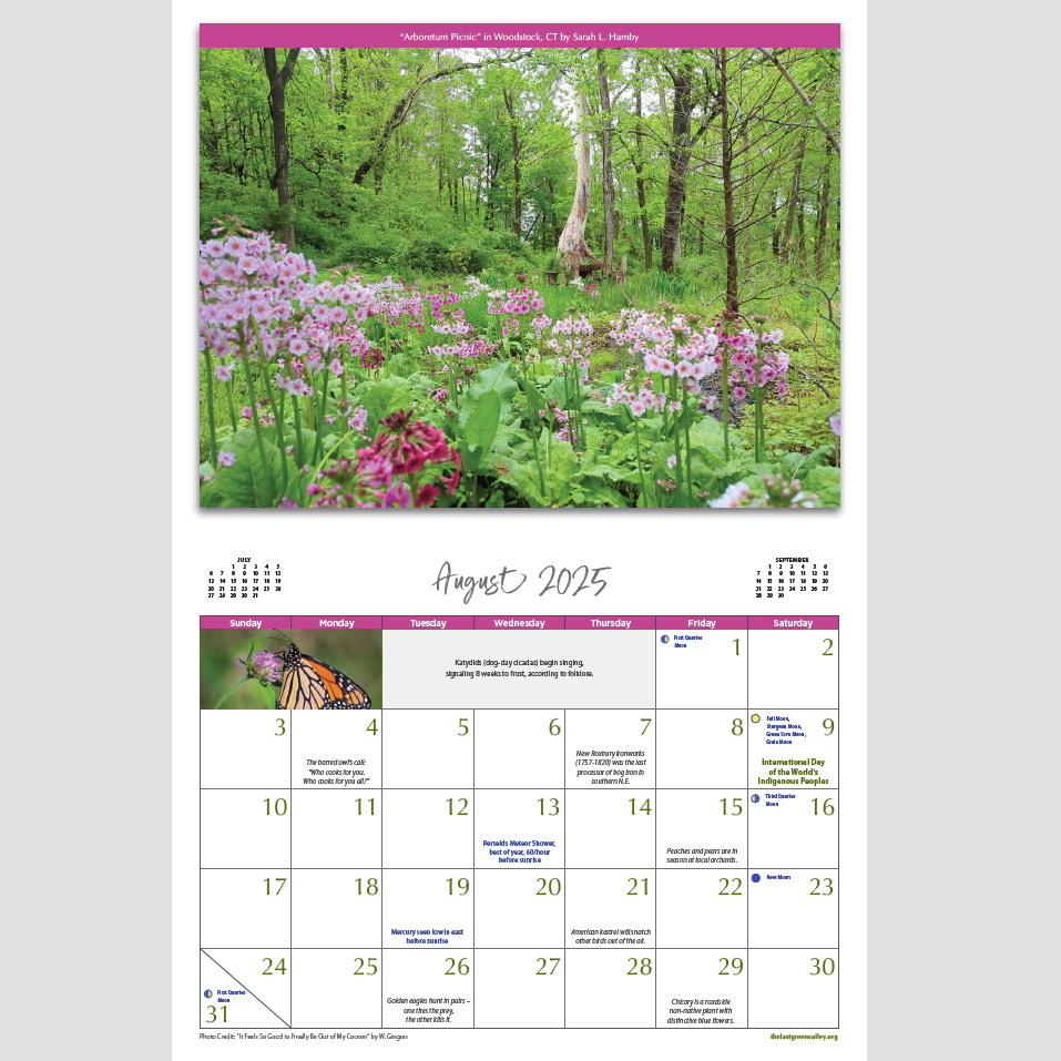 2025 Wall Calendar Printable