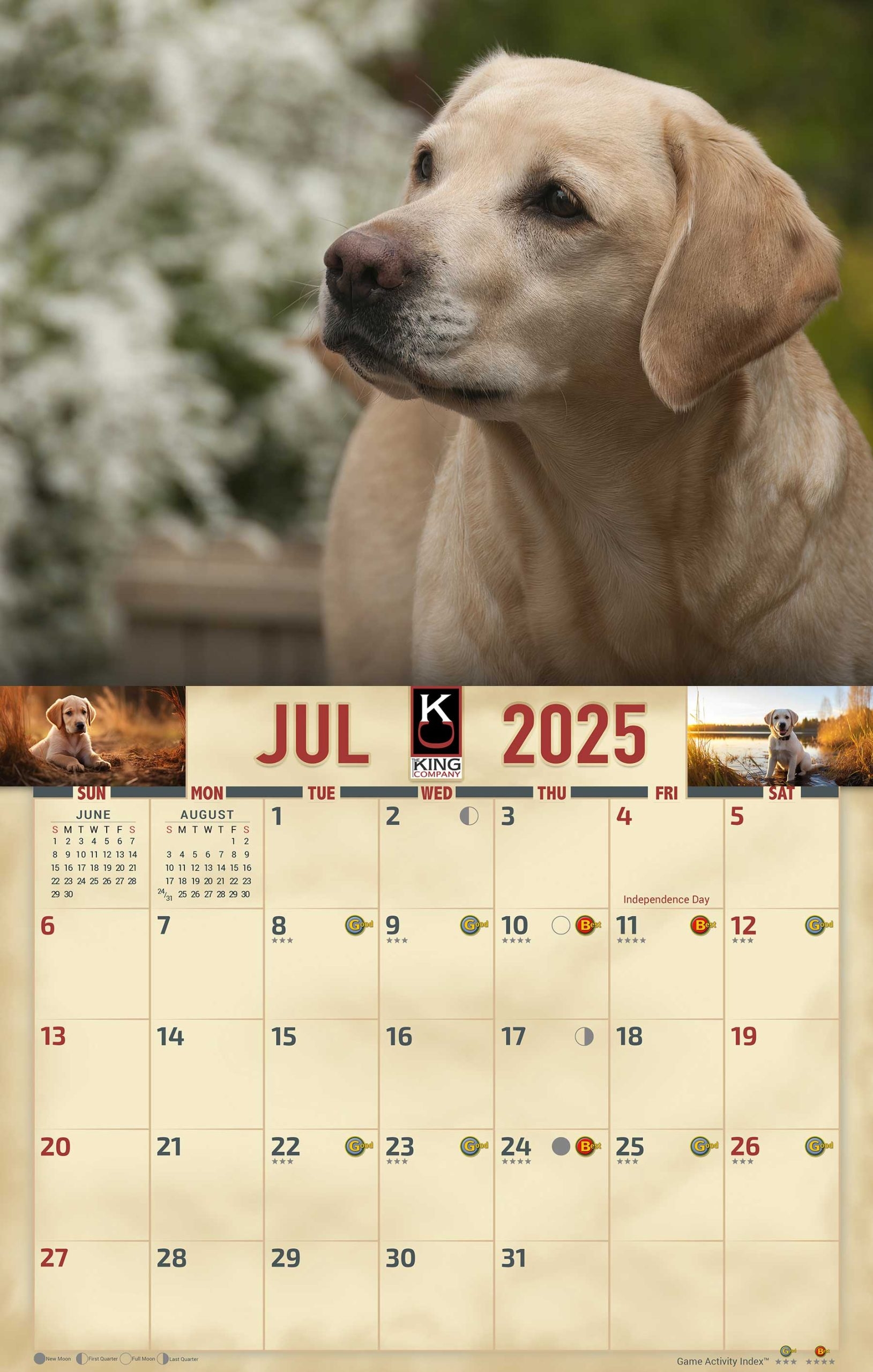 2025 Yellow Lab Dog Wall Calendar The KING Company