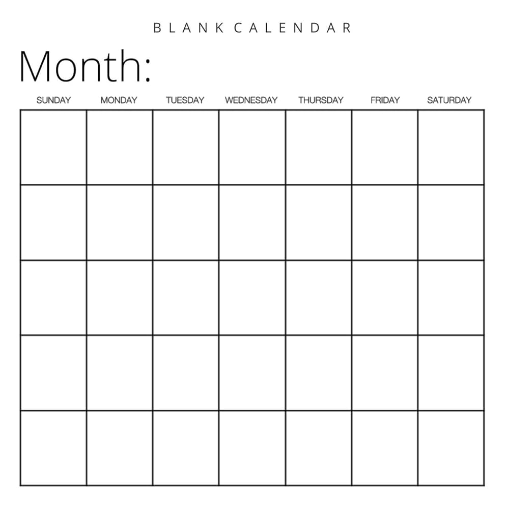 Amazon Blank Calendar White Background Undated Planner For Organizing Tasks Goals Scheduling DIY Calendar Book 9781636570457 Llama Bird Press Books