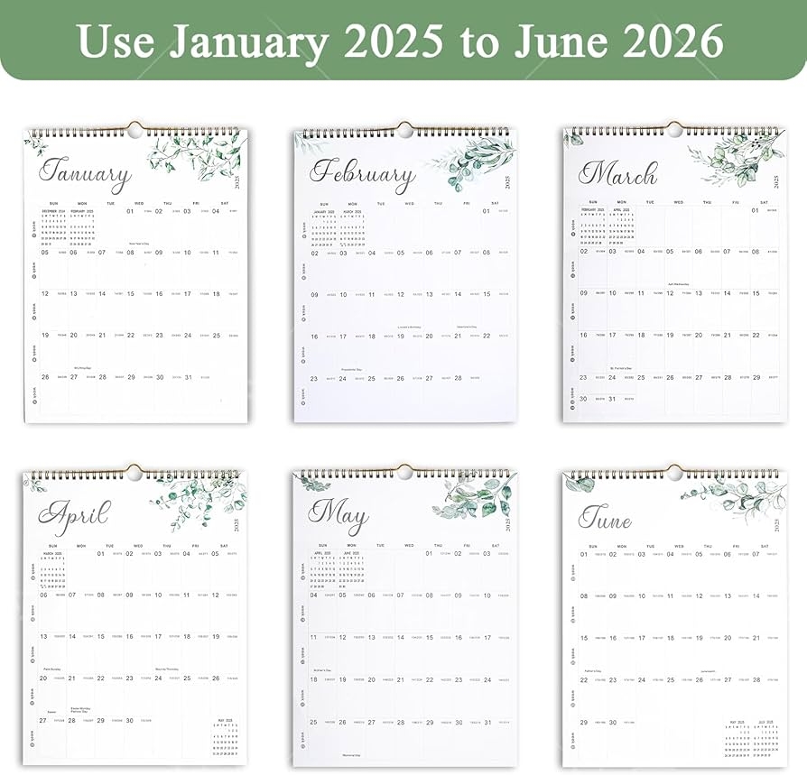 Amazon BORN FAIR 2025 Calendar Calendar 2025 2026 18 Months Wall Calendar January 2025 To June 2026 Calendar With Julian Dates 14 X 11 green Office Products