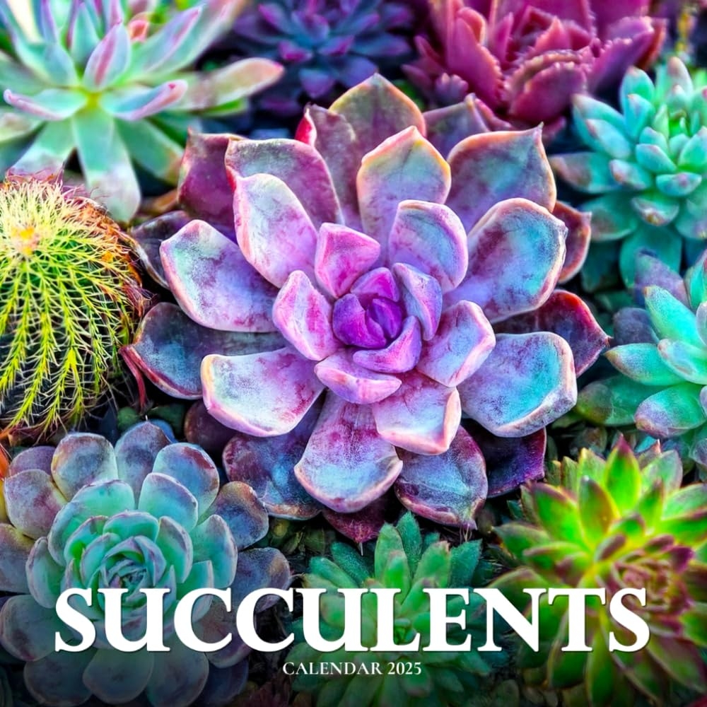Amazon Succulents Calendar 2025 A Year Of Beautiful And Resilient Succulent Plants In Full Color Ashborne K Books