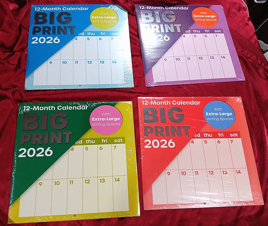 BIG PRINT 2026 Wall Calendar 12 X24 Open FAST DELIVERY EBay