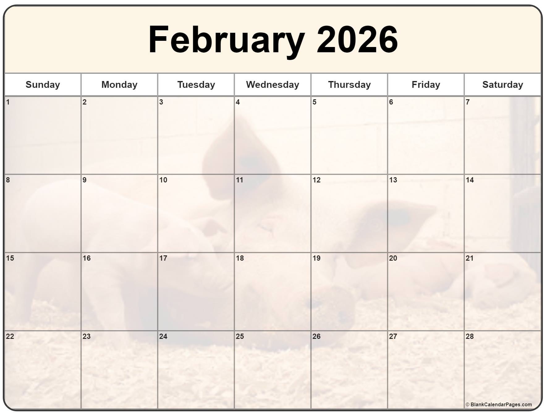 Calendar Feb 2026 Printable