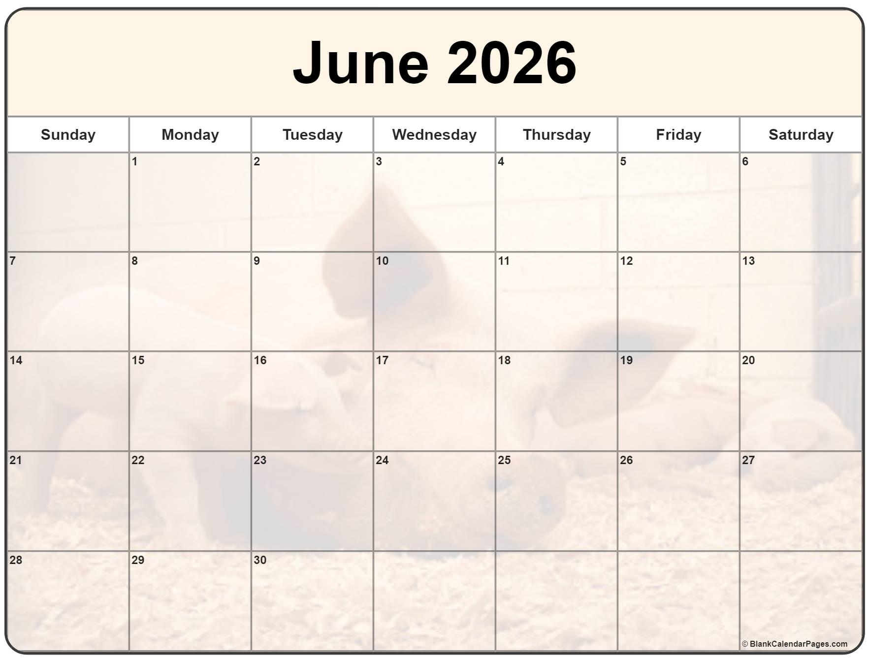 1 Page Printable June 2026 Calendar