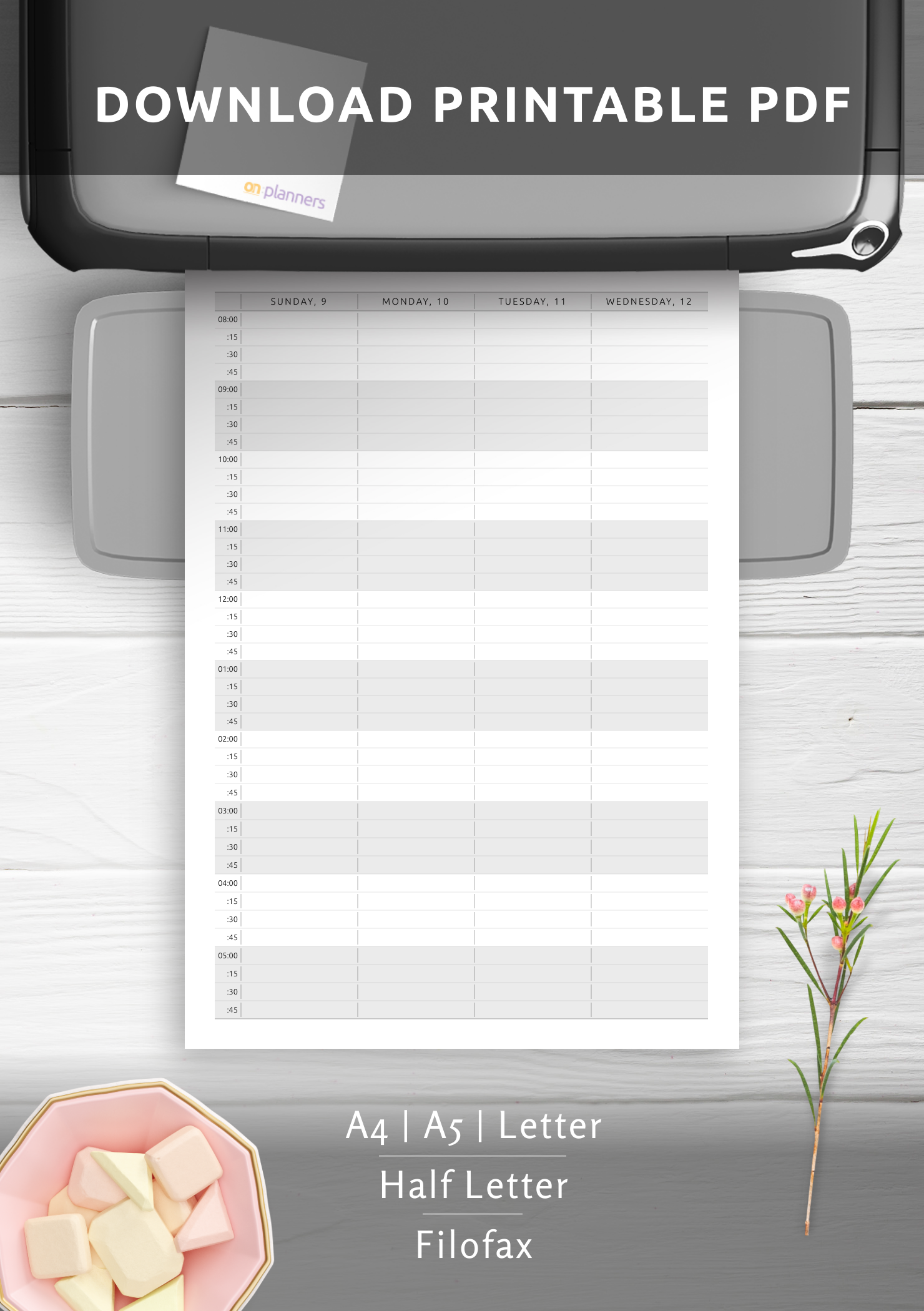 Download Printable Appointment Calendar Template Vertical Two Page Layout PDF