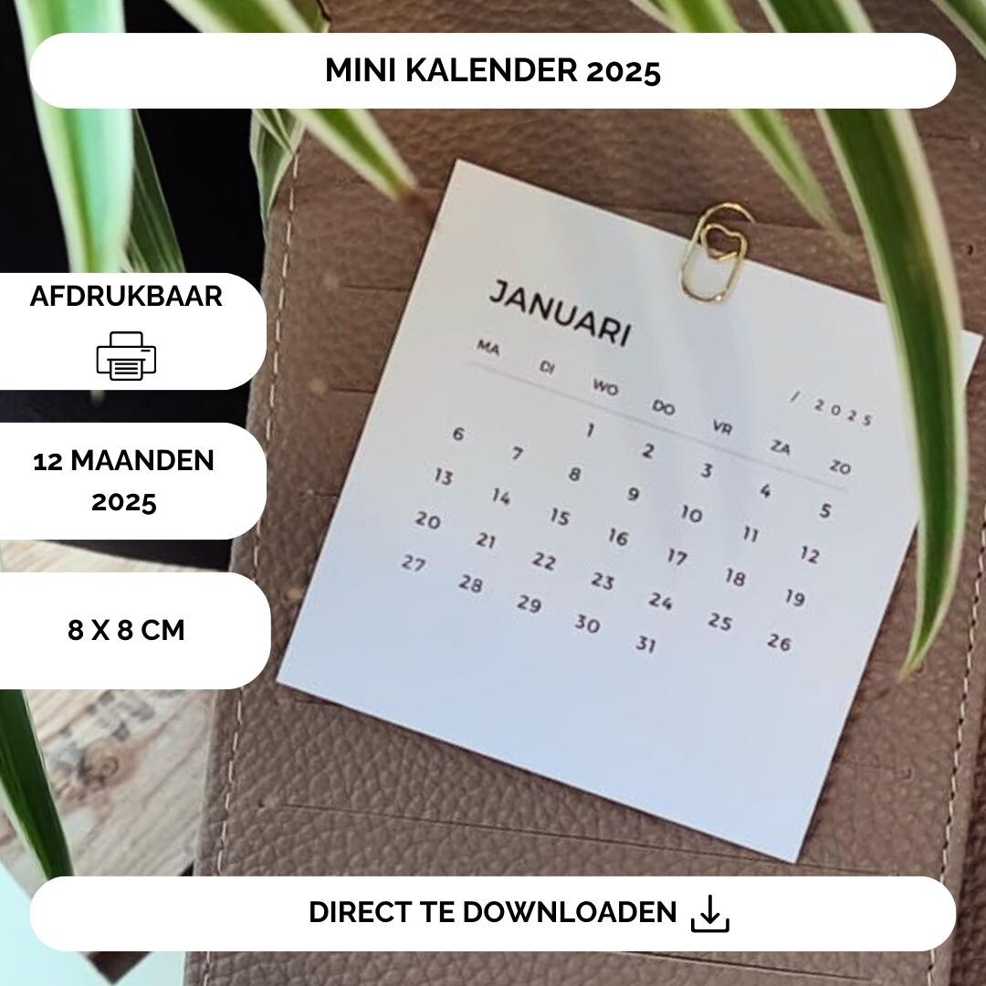 Mini Calendar 2025 Printable Budget Binder Styling Calendar Printable Pdf 2025 Calendar Agenda Accessories Mini Month Savings Challenge Etsy
