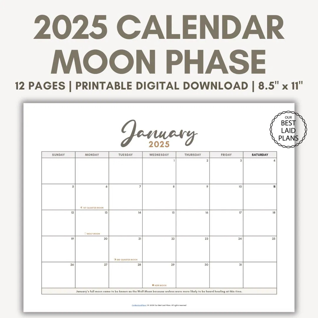 Moon Phase Today Calendar Moon Phase Calendar Printable Current Moon Chart Calendar Moon Stages Calendar Lunar Phase Calendar 2025 Etsy