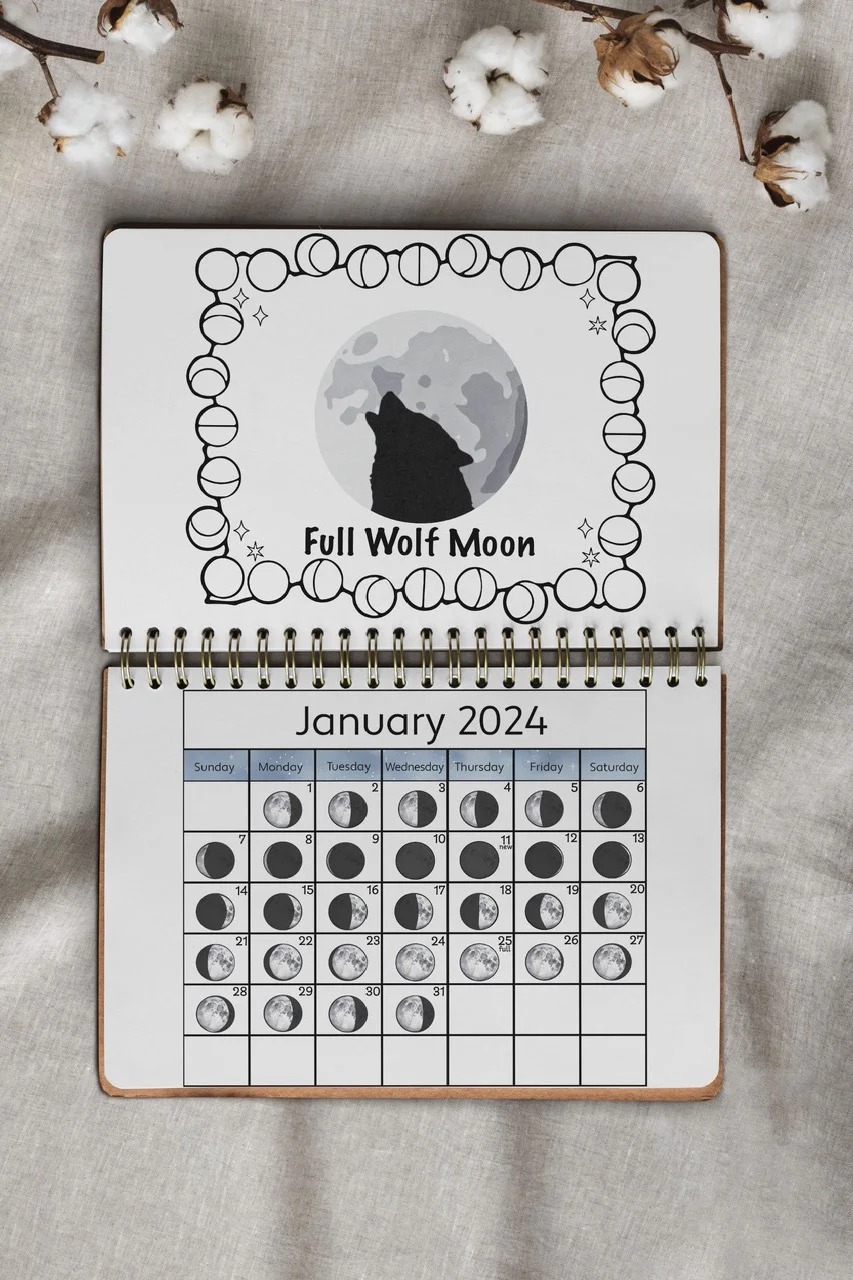 Wild Moon Calendar 2025 Acorns And Aprons